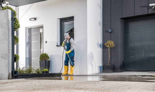 Best Gutter Cleaning and Brightening in Carson City, NV